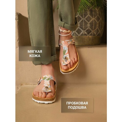 ���������� ������� �������������� �������� Ortmann YORK, ���. 7.03.2, ������ 39
