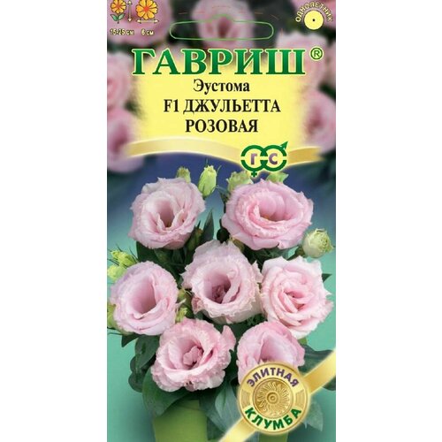 ���������� ������ ������� ��������� ������� F1 ���������� 4�� ��� 25�� (������) ������� ������ �21