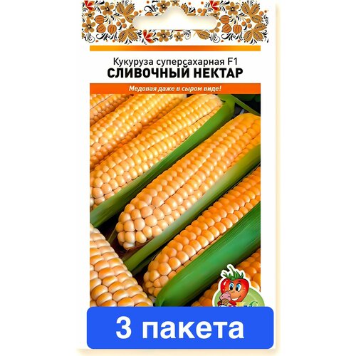 ���������� ������ ������ ������� ������ 