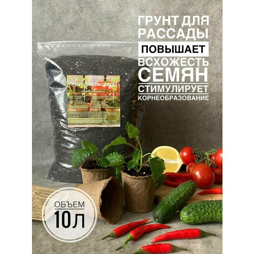 ���������� ����� ��� ������� 10 ������ � ���������� ������������� Terracotta Plants
