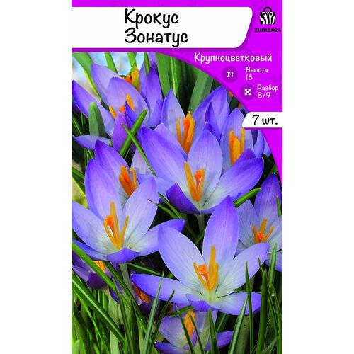 ���������� ������ ������� (�������) 7 ������� 8/9