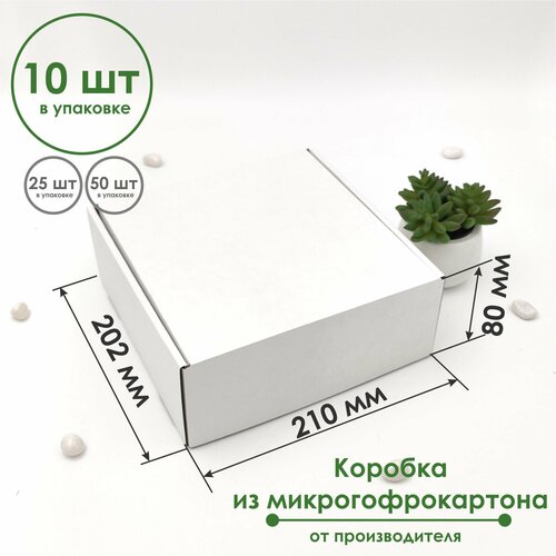 ���������� ������� 210�202�80 �� (10 ��) ����������� ���������������� �����/�����