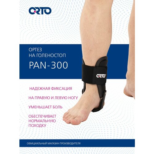 ���������� ORTO ����� �� ������������� ������ PAN 300 ����������� 26 �� ������ 1 ��. �������������