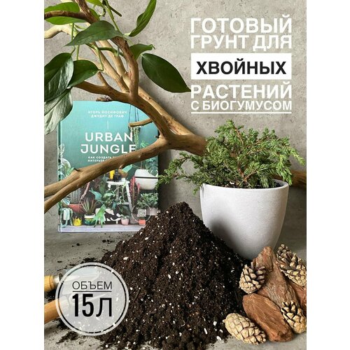 ���������� ������� ����� ��� ������� �������� � �������� 15 ������ �� Terracotta Plants