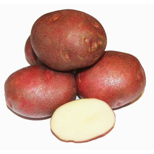 ���������� ��������� �������� �������� (����������) (4 ��) �������������, ��������