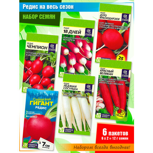 ���������� ����� ����� ������: �������, 18 ����, ���� �������������, ��������� ������, ������� ��������, ������� ������� �� ������ ����� (6 �����)