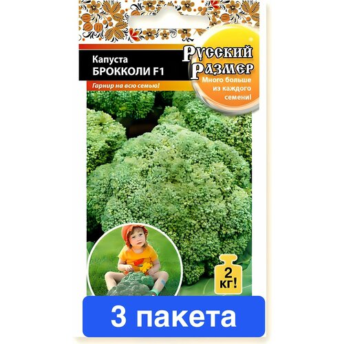 ���������� ������ ������ ������� ������ 