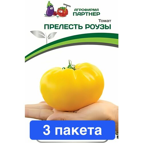 ���������� ������ ������ ��������� ������� 