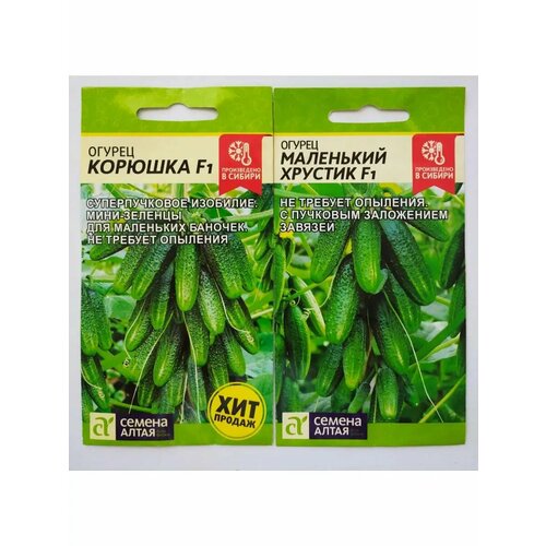 ���������� ������ ������� � ��������� �������