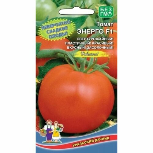 ���������� ������ ����� ������ F1 (�����������), �����������, 12��