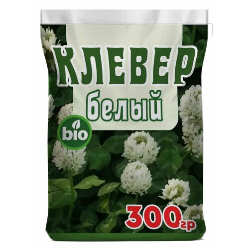 ���������� ������ ����� ��������, �������� ������ ������ ��������, ����� �����