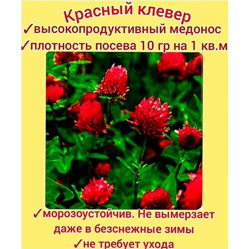 ���������� ������ ������� ���������� 500��, ������ �������� ��� ����/ ������/ ������ �����