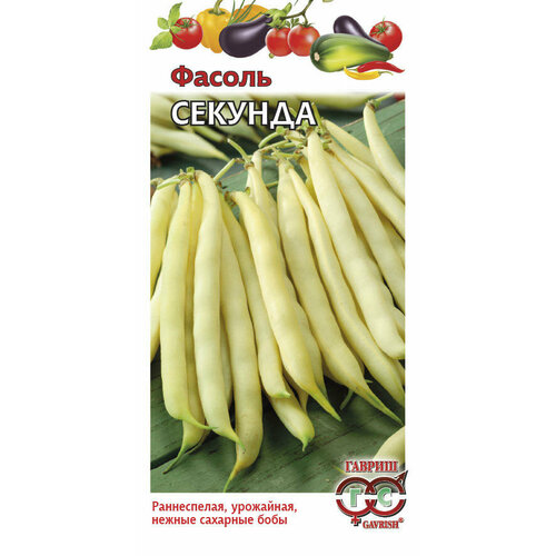 ���������� ������ ������ ������� �������� ������ 5� ������ (������)