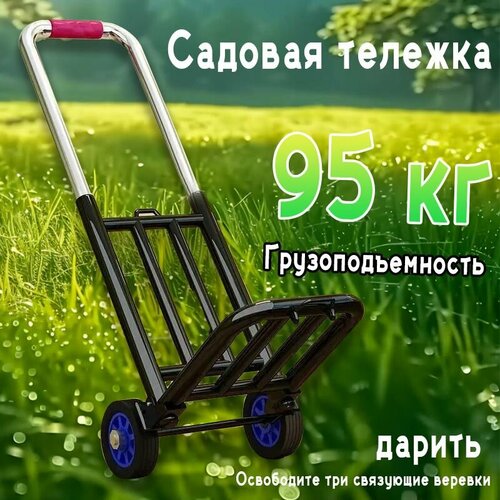 ���������� ������� �������