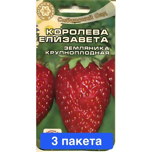 ���������� ������ ������ ��������� ��� 