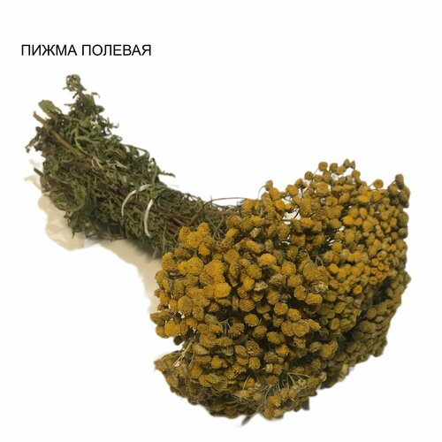 ���������� ����� ��� ���� 