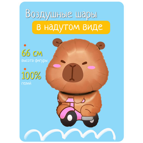 ���������� ��������� ��� � ������ �� ���� ��������, �������������� ��� ������ �������� �� ����������