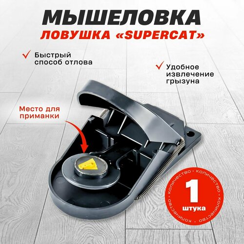 ���������� ����������� ��������� SuperCat, 1 ��.