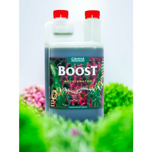 ���������� ��������� - ���������� CANNABOOST Accelerator 1 �