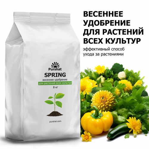 ���������� ��������-������ ��������� ��� �������� ���� ������� ������ 8 �� � �������� ������ � ��������