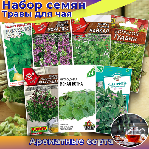 ���������� ����� ����� 