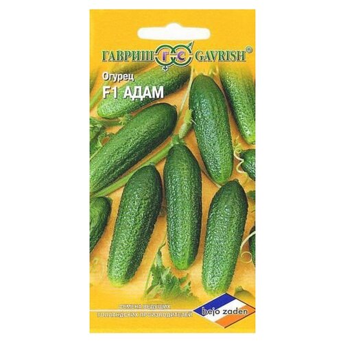 ���������� ������ ������ Bejo ������ ���� F1, �������� 5 ��.