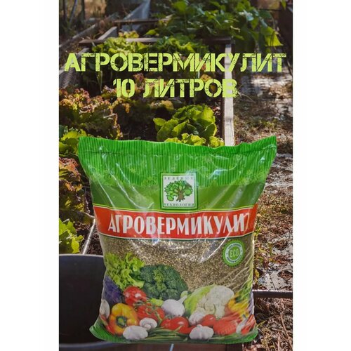 ���������� ���������� ���������� 10�