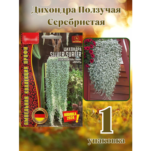 ���������� �������� �������� ����������� 1��