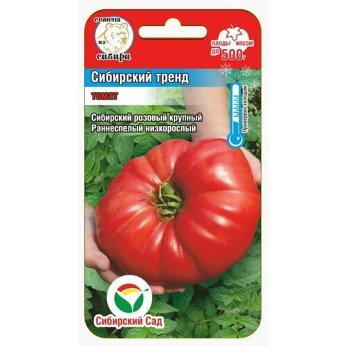 ���������� ������ ����� ��������� ����� 20�� ��� ������ (��������� ���)