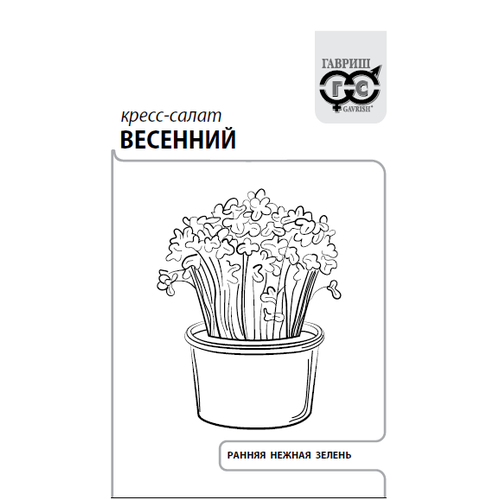 ���������� ������ �����-����� �������� 1� ������ (������) ����� �����