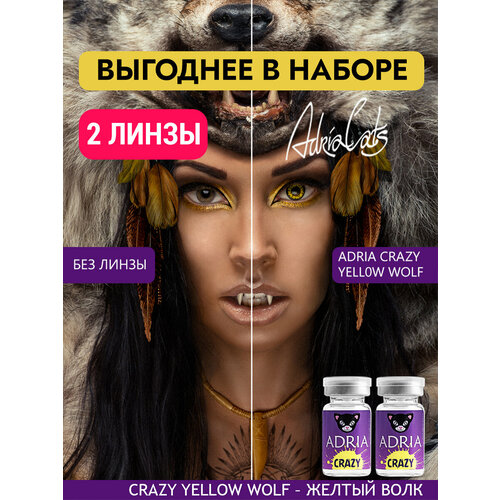 ���������� ����� ������� ���� ADRIA Crazy, YELLOW WOLF, ������������, ����������� -0,00, 2 ����� ��� ���������