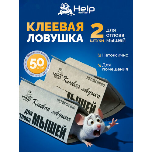 ���������� ������� ������� Help, �� �����, ��������� ������, �����, 2 ��