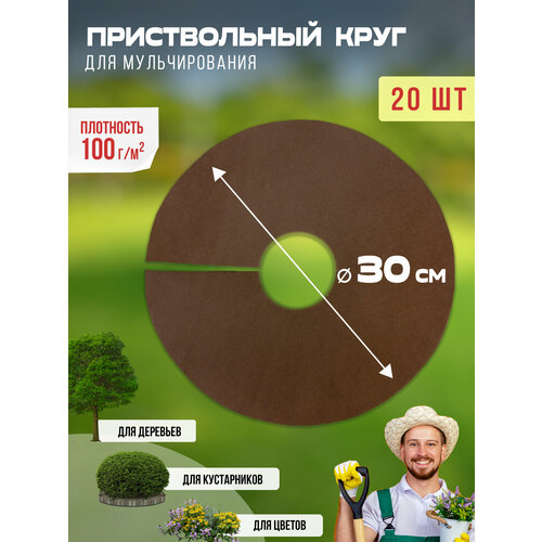 ���������� ������������ ���� ��� ������������� 100 ��/�2, ������� 30 ��, 20 �� ����������