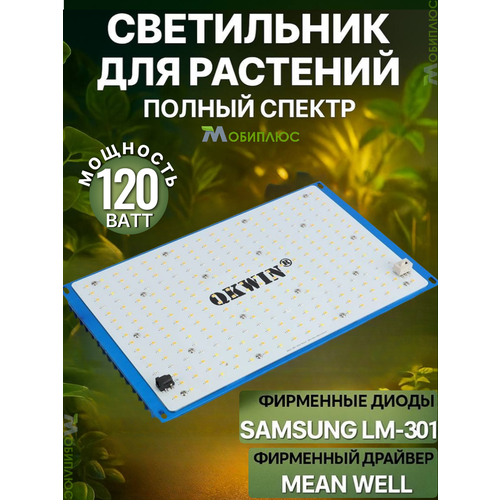 ���������� ���������� ��� �������� Q�win quantum board, 120 ���� Mean Well, ����� Samsung LM-301B, 288 ����. ������ ������ �� ��