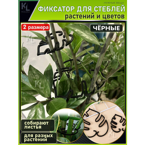 ���������� KoLeli / �������� ��� ����� ������� � �������, �������� �����, ������