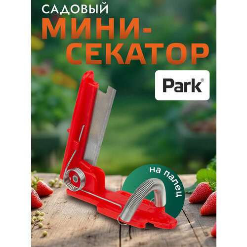 ���������� ���������� ����-������� ��� ���� � ������� Park, �����: 10 ��