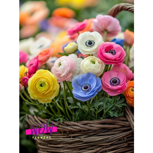 ���������� �������� ������ , WOW FLOWERS , �������-����������� ����(10 ��)
