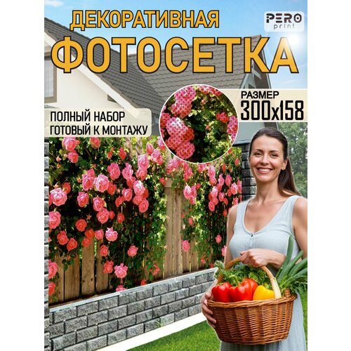 ���������� ��������� ��� ������ 300�158�� ���