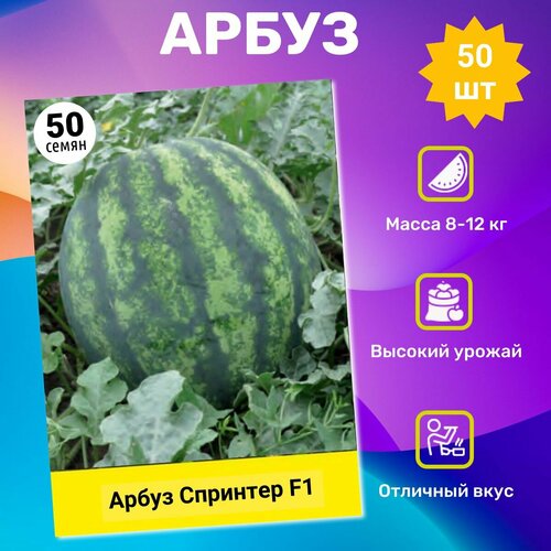 ���������� ������ ����� �������� F1 50 ��. ���������� ��������