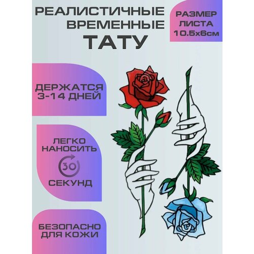 ���������� ���� ���������� ��������������, ��������� ���� ���� � ����