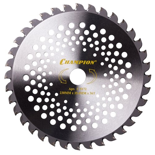 ���������� ���� CHAMPION C5172 Speed 25.4 ��