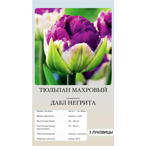 ���������� ������� �������� ����������� ������