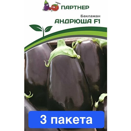 ���������� ������ ������ ��������� ������� 