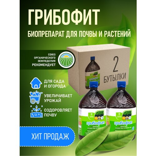 ���������� ����������� ���������� ������, Trichoderma viride �� ��������� �����������, ��������� 