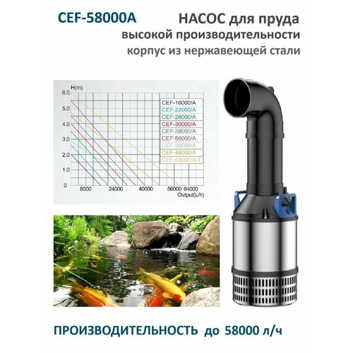 ���������� ����� ��� ����� CEF 58000A ������� ������������������