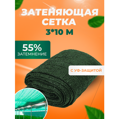 ���������� ����� ���������� �������� 55 %, 3�10� ��� ������, ������, ��������, �� ������, ��� �������, ��� ������ ���� �������