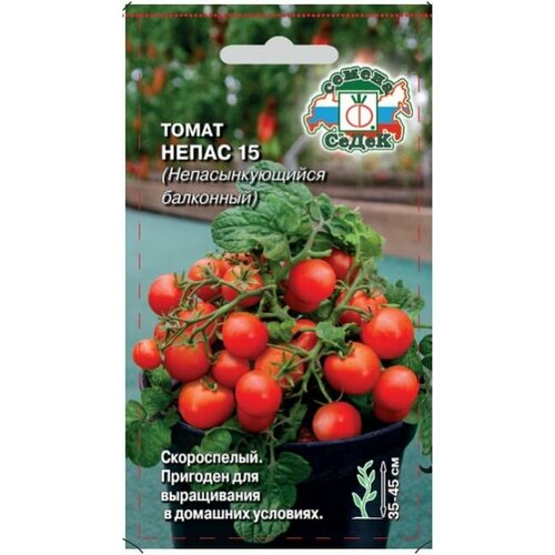 ���������� ����� ����� 15 (��������������� ���������), 1 �����, ������ 0,1 ��, �����