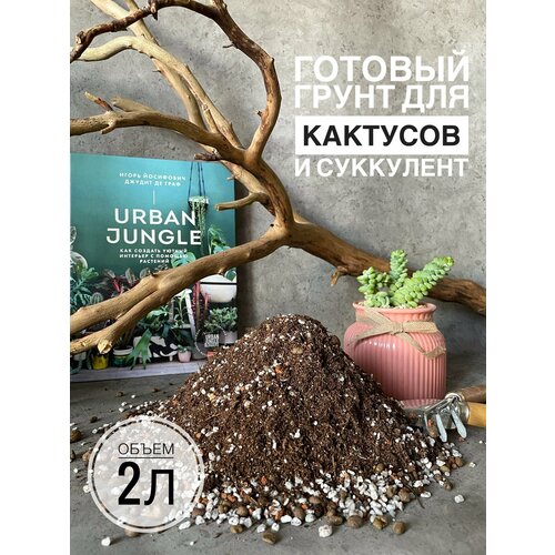 ���������� ������� ����� ��� ����������� � �������� Terracotta Plants � �������� 2 �����