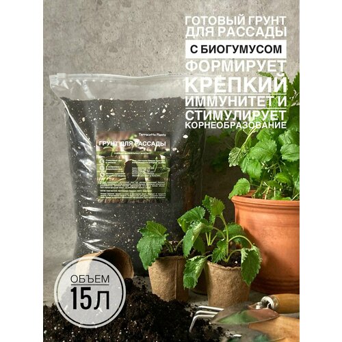 ���������� ����� ��� ������� 15 ������ � ���������� ������������� Terracotta Plants �������� ������