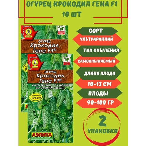 ���������� ������ �������� ����,10 ����� 2 ��������